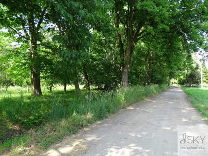 Działka pod inwestycję mieszkaniową, Zajączków