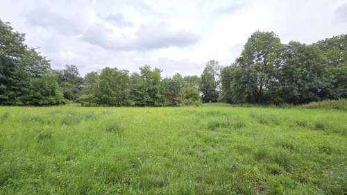 Działka 1,74 ha /dom do remontu / siedlisko