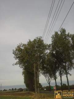 DZIAŁKA INWESTYCYJNA