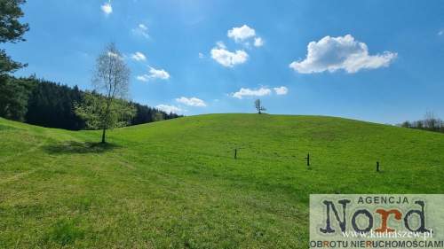 DZIAŁKA NAD JEZIOREM SUWALSZCZYZNA