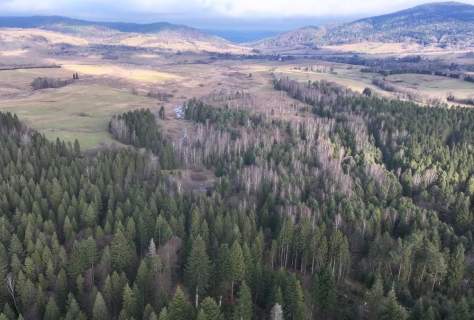 Działka Lipie - cisza i natura w sercu Bieszczad