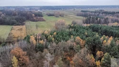 Działka 1,61 ha w lesie z altaną i oczkiem wodnym