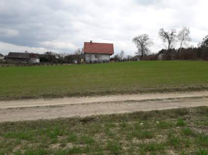 Dwie działki z warunkami zabudowy w Górze