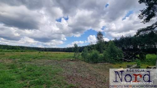 Działka budowlana na sprzedaż, 16000 m2, Rudawka