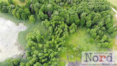Piękne Mazury jezioro Ułówki, las, linia brzegowa.