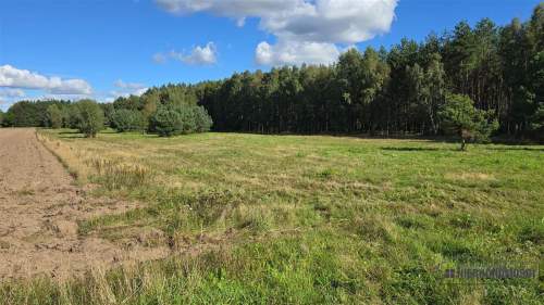 Dargikowo - działka pod lasem - 45 km od morza - n