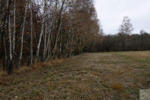 Działka 1,61 ha w lesie z altaną i oczkiem wodnym