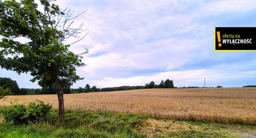 DZIAŁKA Z WZ-ką POD ZABUDOWĘ JEDNORODZINNĄ