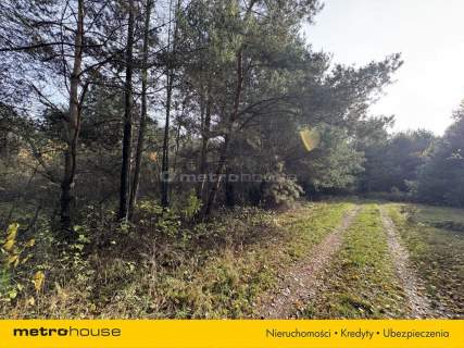 KSIĘSTWO-działka rolna o pow. 9001,1 m2.