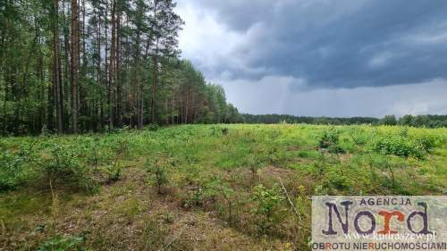 Działka budowlana na sprzedaż, 16000 m2, Rudawka