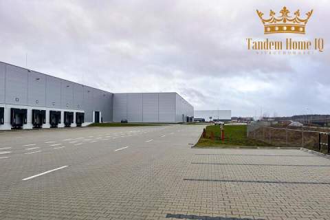 Hala magazynowa 5500m2 klasy A na wynajem - Kobyłka, mazowieckie