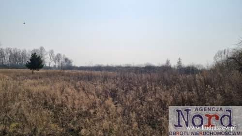 Kamienica nad jeziorem Rajgrodzkim