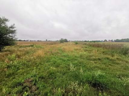 działka 4900m2 w całości lub 3 odrębnie z warunkami zabudowy