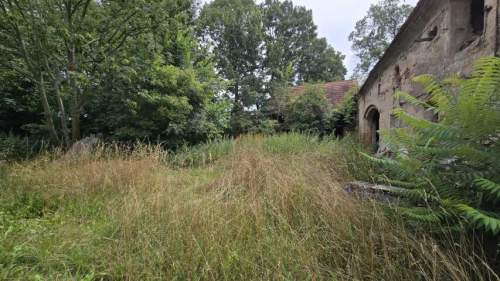 Działka 1,74 ha /dom do remontu / siedlisko