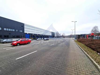 Magazyn do wynajęcia 2000 m2 w Markach