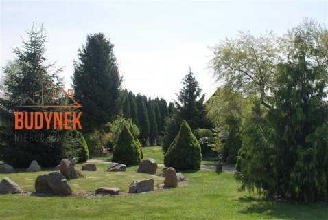 Działający ośrodek wypoczynkowy nad morzem, 2 domy