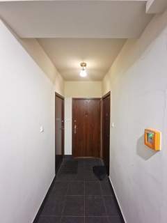 STUDIO - 29 M2 - OKOLICA UEK - POLITECHNIKA I UR