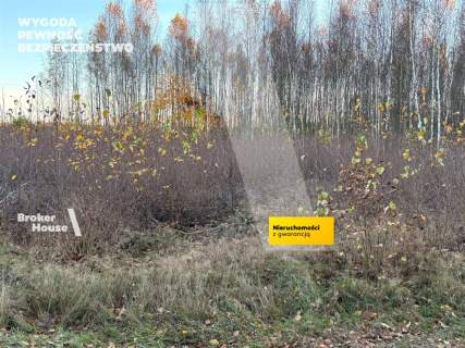 działka siedliskowa Pułtusk Obryte