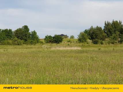 ALEKSANDRÓ ŁÓDZKI-działka budowlana 8100 m2.