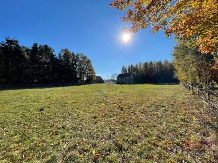 Działka w Korczynie 5400 m2 z opcją podziału