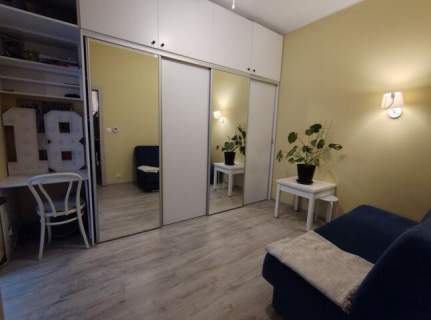 Duże mieszkanie z ogródkiem blisko centrum miasta
