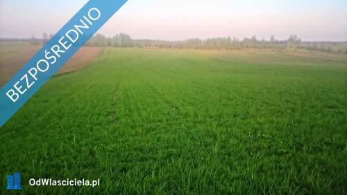Mazury Stare Juchy .Działka 7500m- 38 złm2-