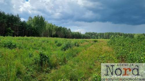 Działka budowlana na sprzedaż, 16000 m2, Rudawka