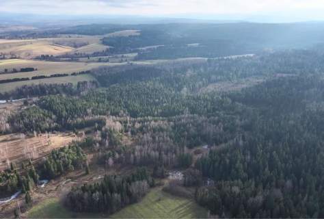 Działka Lipie - cisza i natura w sercu Bieszczad