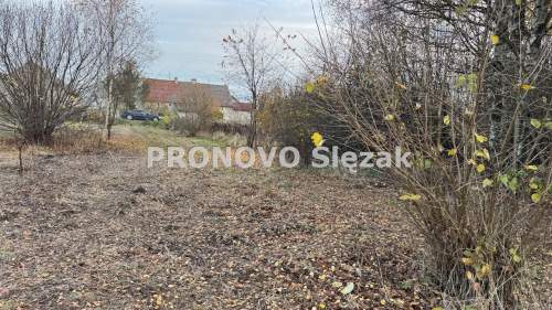 Rościsławice.Działka 1266 m .8 min od Obornik Śl.