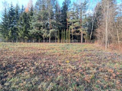 DZIAŁKA BUDOWLANA/Wola Karczewska/3500 m2/Warunki zabudowy na...