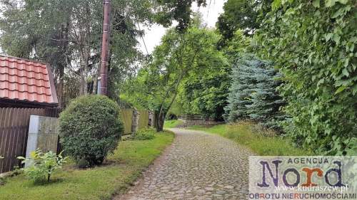 Piękne Mazury jezioro Ułówki, las, linia brzegowa.