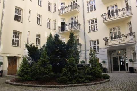 Kamienica Śródmieście lokal biurowy wynajem
