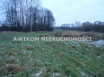 Działka rolna na sprzedaż, 5900 m2, Stanisławów