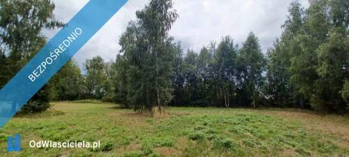 Warszawa/Raszyn/Tarczyn/ Posiadłość 2,1 ha z budynkami.