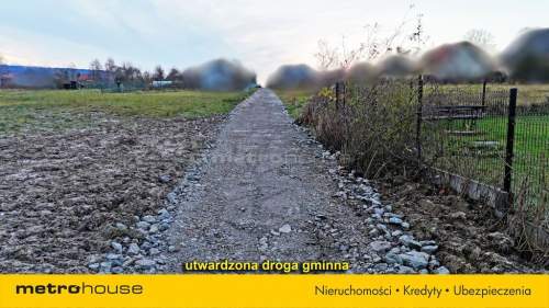 Duża działka zabudowa zorganizowana ze stawem.