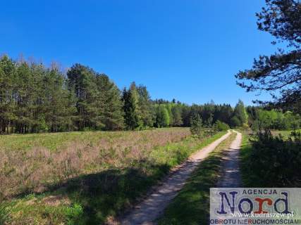 DZIAŁKA BUDOWLANA, MOŁOWISTE, JEZIORO SERWY
