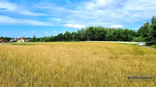 Działka 1,72 ha MPZP Sitno staw przy lesie