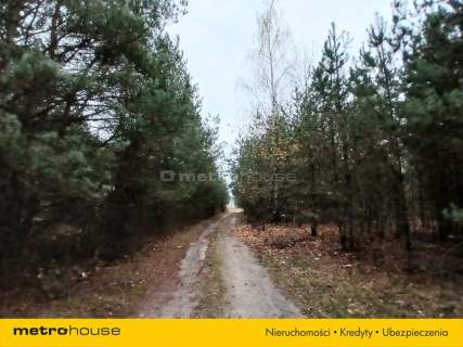 Dom na sprzedaż, 131 m2, Serock