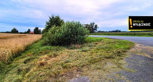 DZIAŁKA Z WZ-ką POD ZABUDOWĘ JEDNORODZINNĄ