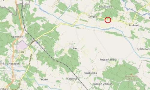 Działka budowlana częsciowo zalesiona