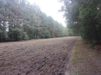 Działka budowlana w Sobieniu