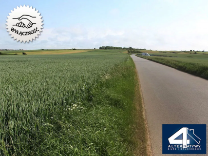 Ostatnie w okolicy Balic inwestycyjne 4,7 ha
