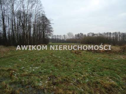 Działka rolna na sprzedaż, 5900 m2, Stanisławów