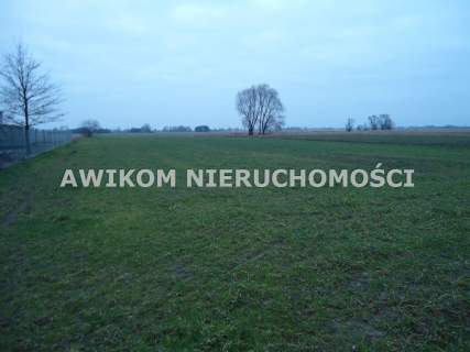 Działka rolna na sprzedaż, 20000 m2, Stanisławów