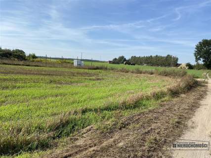 Wyszomierz - działka budowlana - na raty - 8 km od