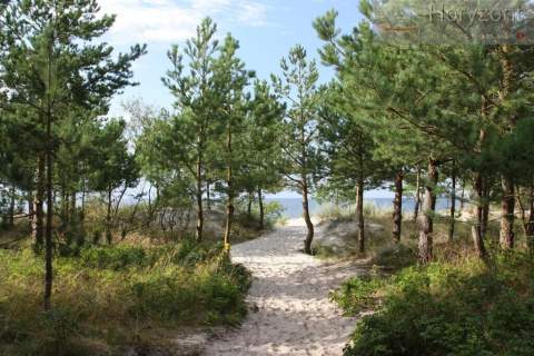 Działka nad morzem 400m od plaży - Rogowo