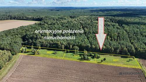 Dargikowo - działka pod lasem - 45 km od morza - n