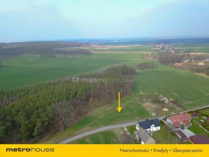 Działka na sprzedaż, Legnicki, Okmiany