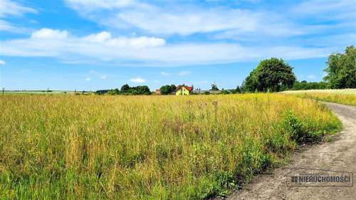 Działka 1,72 ha MPZP Sitno staw przy lesie