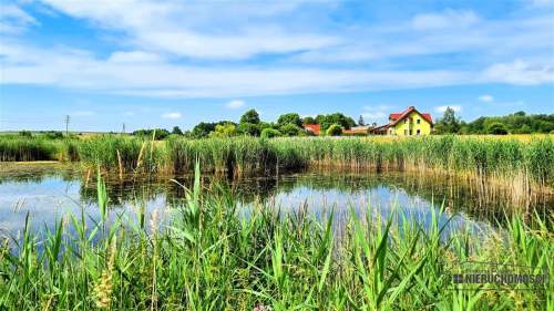 Działka 1,72 ha MPZP Sitno staw przy lesie